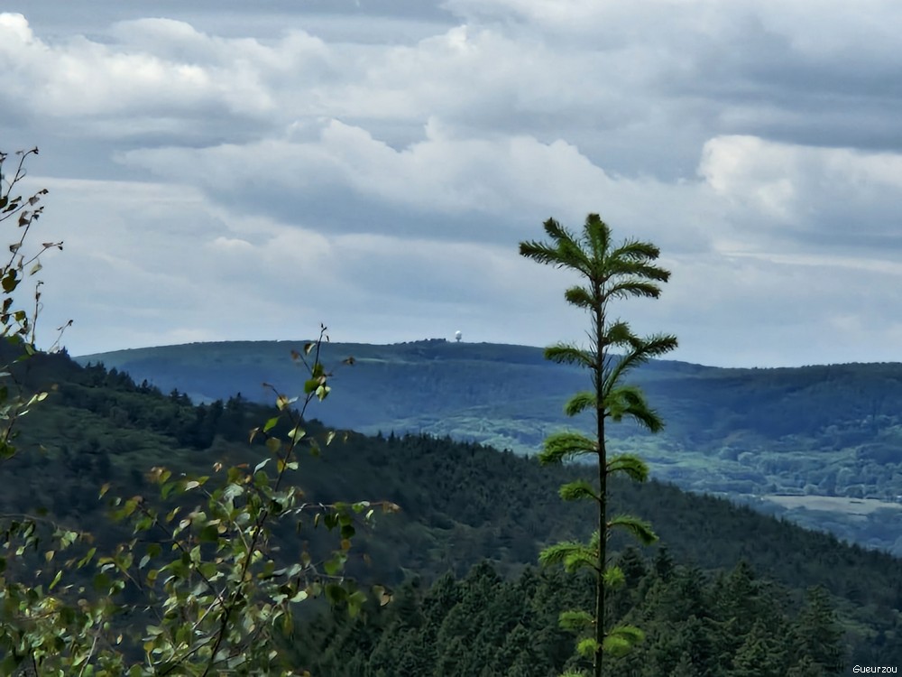 Vue générale